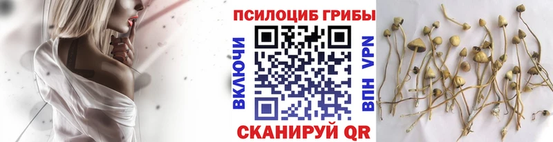 Купить  Саянск  Галлюциногенные грибы мухоморы 